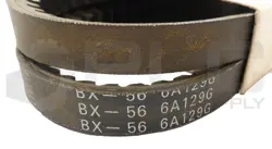 OF
