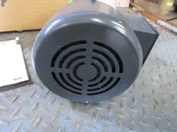 IN
