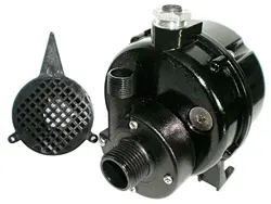 DAYTON, 12U597, PUMP, SUBMERSIBLE, 1/50HP