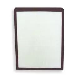 DAYTON 2HNP8 HEPA FILTER, FOR G1208681