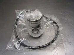 DAYTON 4JMY8 MECHANICAL SEAL