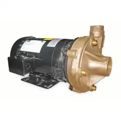 DAYTON 2ZXA8 PUMP, 3 HP, 3 PH, 230/460V AC 2ZXA8