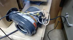 DAYTON 1TDN2 BLOWER 120VOLT 12CFM FREE AIR NEW