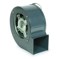 1TDP4