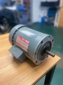 DAYTON (2N916M) ELECTRIC MOTOR - 3 PHASE - 1/2 HP - 1725 RPM