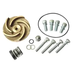 DAYTON PUMP REPAIR KIT,FOR 2ZWR4A 21TG49 DAYTON 21TG49 190735166987