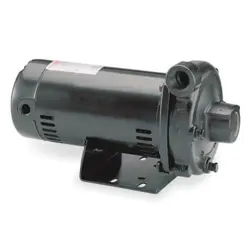 DAYTON PUMP,3/4 ,1 PH,120/240VAC 4RU77 DAYTON 4RU77 190735333846