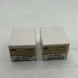 LOT OF 2 DAYTON 1EGK1 SOLID STATE RELAY 3-32 VDC 40A SEE PICS