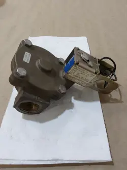 DAYTON, BRASS STEAM SOLENOID VALVE WITH COIL, NORMALLY CLOSED, R0502 BL 1