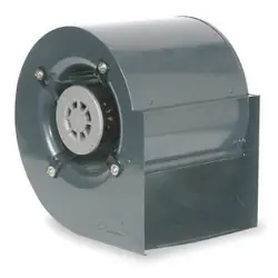 DAYTON 1XJY1
