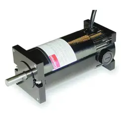 DAYTON 4Z143E DC MOTOR,PM,TENV,1/7 HP,1750RPM,12/24VDC