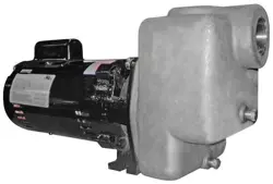 DAYTON 5GUP2 CENTRIFUGAL PUMP, 1 HP, 115/230V AC, 1 PHASE, 90 FT MAX H