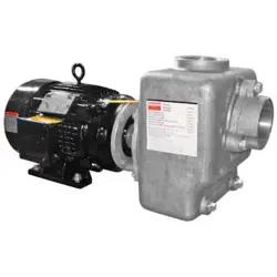 DAYTON 12N811 CENTRIFUGAL PUMP, 3 HP, 208 TO 230/460V AC, 3 PHASE, 65 FT MAX