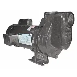 DAYTON 5WXU4 CENTRIFUGAL PUMP, 1/3 HP, 115/208 TO 230V AC, 1 PHASE, 45 FT MAX