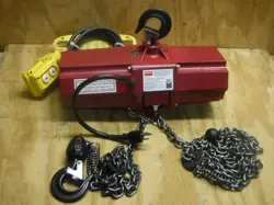 NEW DAYTON 4GU70 ELECTRIC CHAIN HOIST 300 LB 10 FOOT LIFT HOOK MOUNTED FAST SHIP 190735324578
