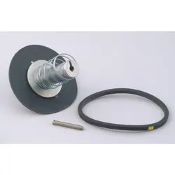 DAYTON 066052 VALVE REBUILD KIT,WITH INSTRUCTIONS 2DAC9