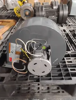 DAYTON 1TDR3 1/20HP 115V 1640RPM BLOWER