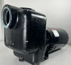 DAYTON PPLTAF23SCG