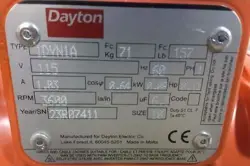 1DYN1