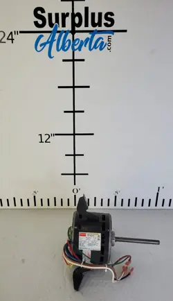 3.8 AMPS