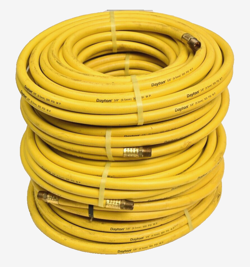 YELLOW NOS