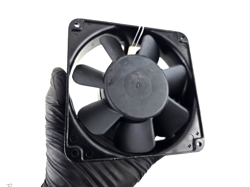 115V AC PHASE