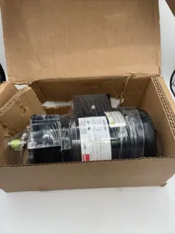 RPM 100