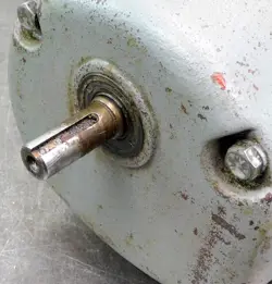 RPM 1/3