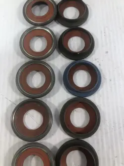 LOT OF 12