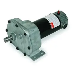 20 RPM 12V