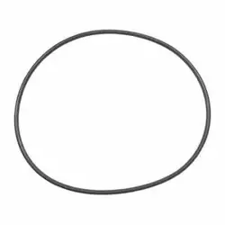O-RING VITON PP60086G