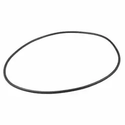 PP60077G O-RING