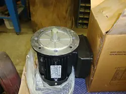 INDUCTION ELECTRIC