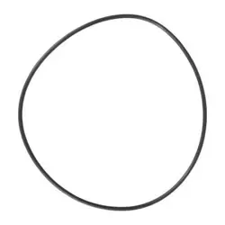 O-RING PPL3406G