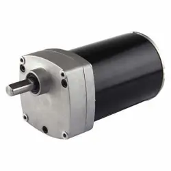 TENV 16RPM 115V