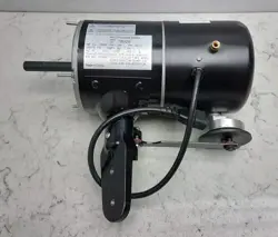 78029