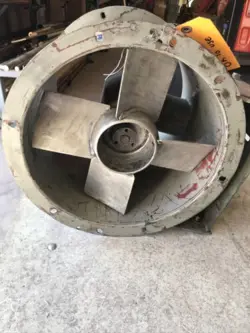 FAN NEW