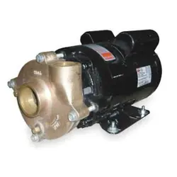 DAYTON 2ZWT2