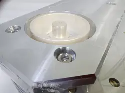 IN
