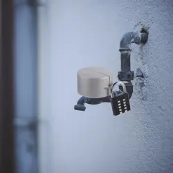 TAP