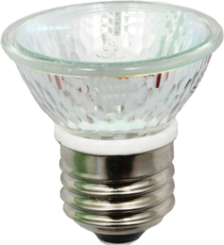 BULB