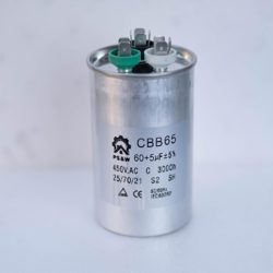 CAPACITOR