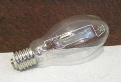 BULB MODEL