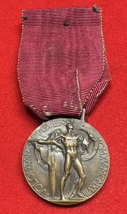MILITARIA WW2 MEDAL OF MERIT FOR THE VOLUNTEERS OF THE ITALO-AUSTRIAN WAR
