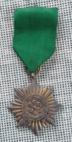 OSTVOLK MEDAL