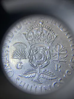 SILVER FLORIN