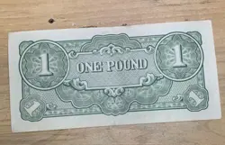 JAPANESE GOVERNMENT OCCUPATION