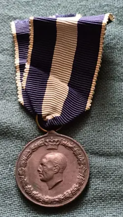 CAMPAIGN MEDAL.