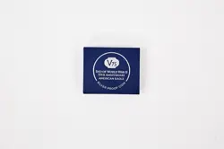 2020 V75 END OF WORLD WAR 2 PROOF SILVER EAGLE BOX COA CAP ONLY- NO COIN