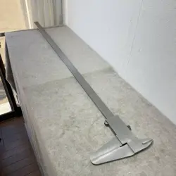 JAPAN MODEL